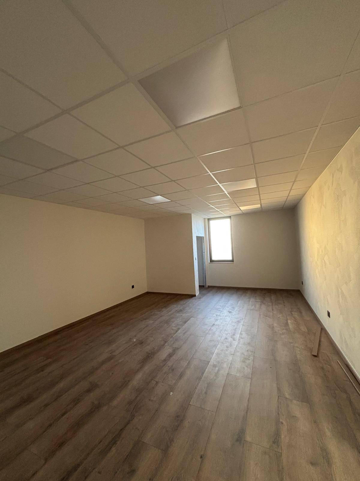 Artisan qualifié pour la création de plafond modulaire dans des locaux professionnels neufs près de Molsheim - Bas-Rhin